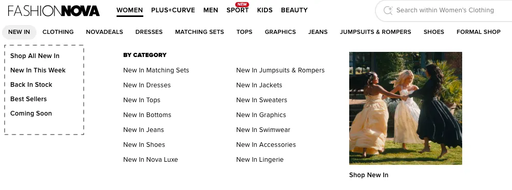 fashion nova example