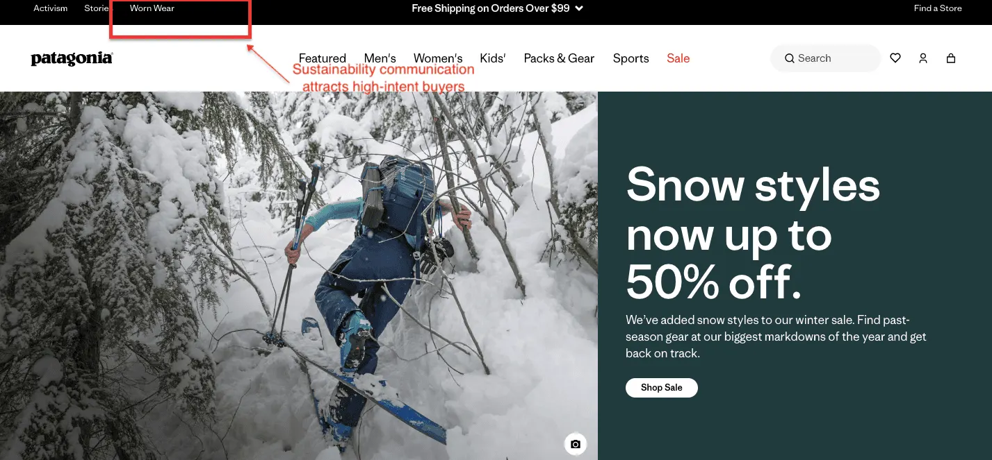 patagonia category page example