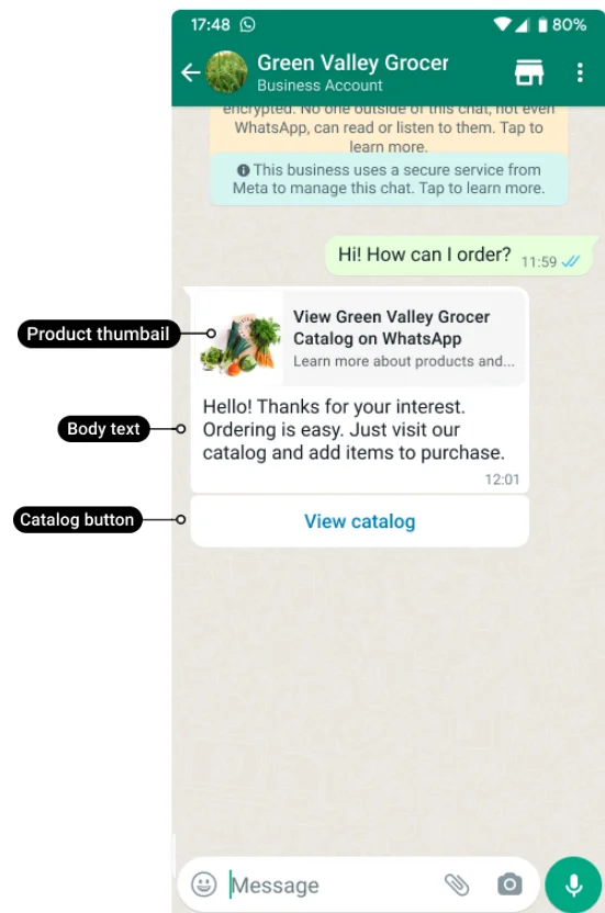WhatsApp single catalog message example