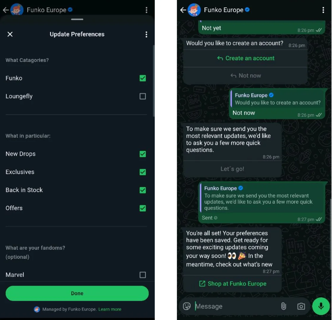 WhatsApp marketing example - WhatsApp Flows