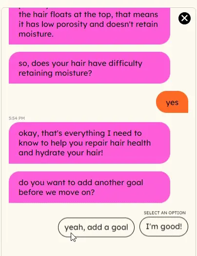 AI Quizbot takes the lead on the convo and brings window shoppers to take notice