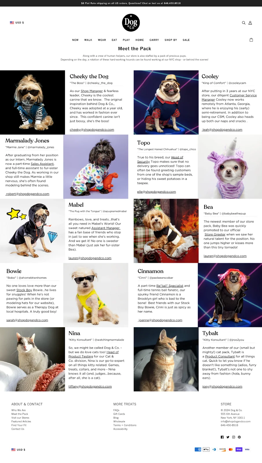 eCommerce Pet Store Conversion Rates