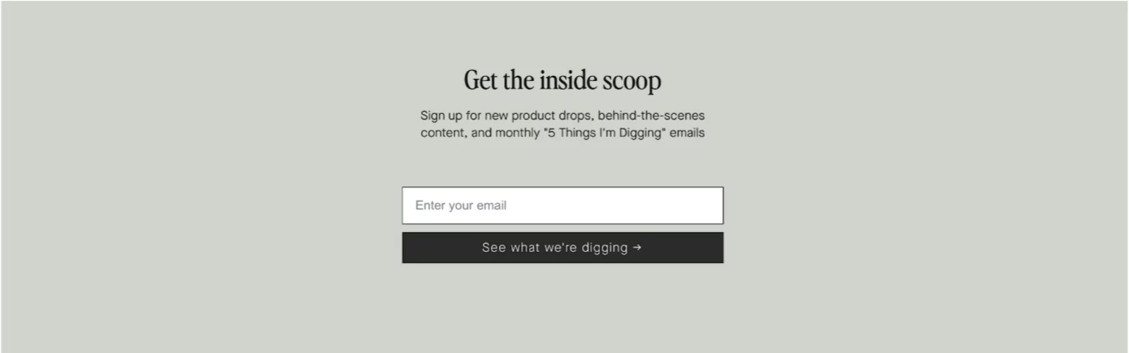 Newsletter signup field on eCommerce website