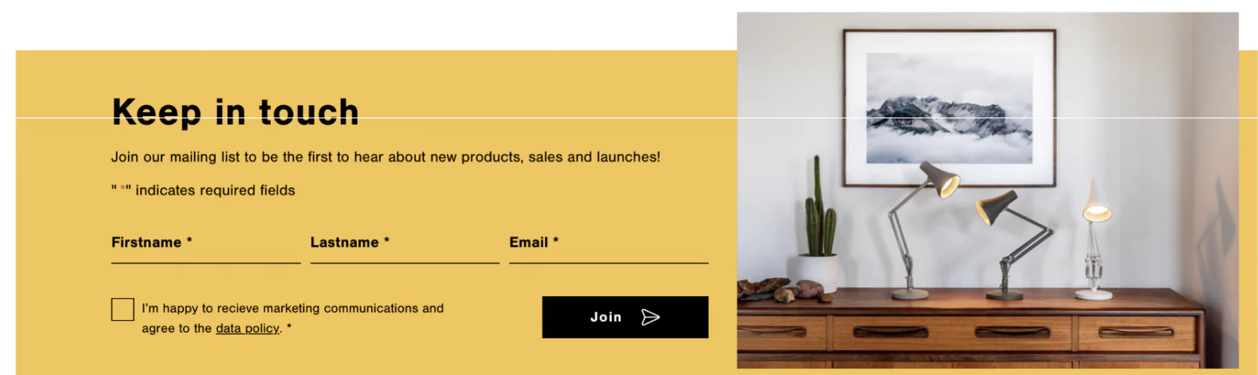 Newsletter sign up form of eCommerce Shopify website