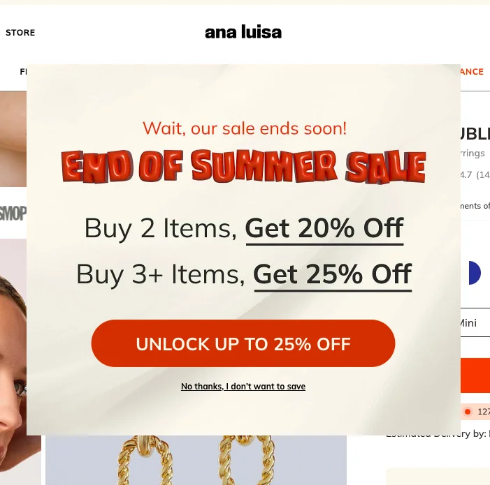 Ana Luisa showcases a tiered discount offer to wheel back jewelry cart abandonersa