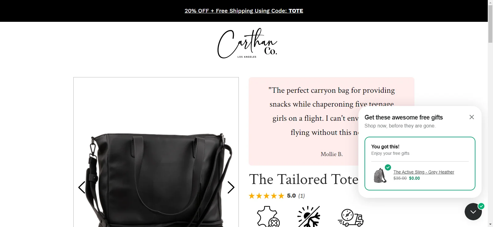 Product page making two offers: free shipping and free gift