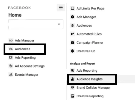 FB Ad Manager's 'Audience Insights' option
