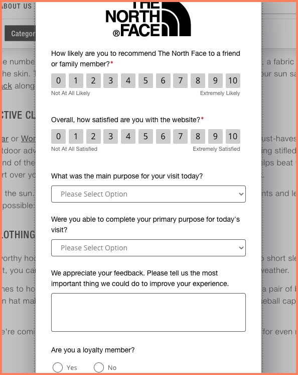 north face customer experience feedback form