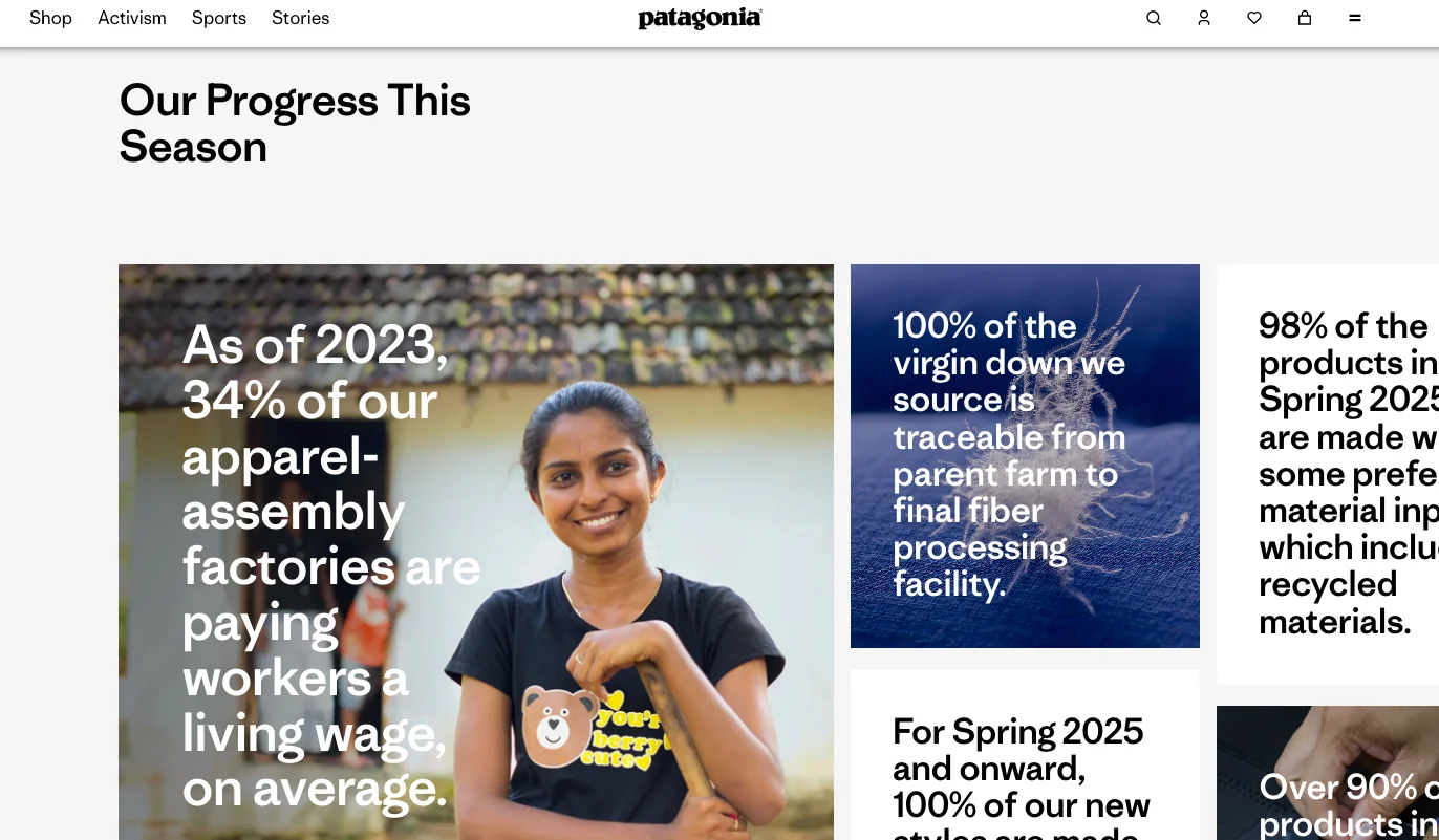 Patagonia features impact snippets to promote their online clothing business