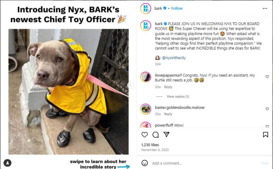 Bark perfects their pet store social media marketing by involving pets from their community