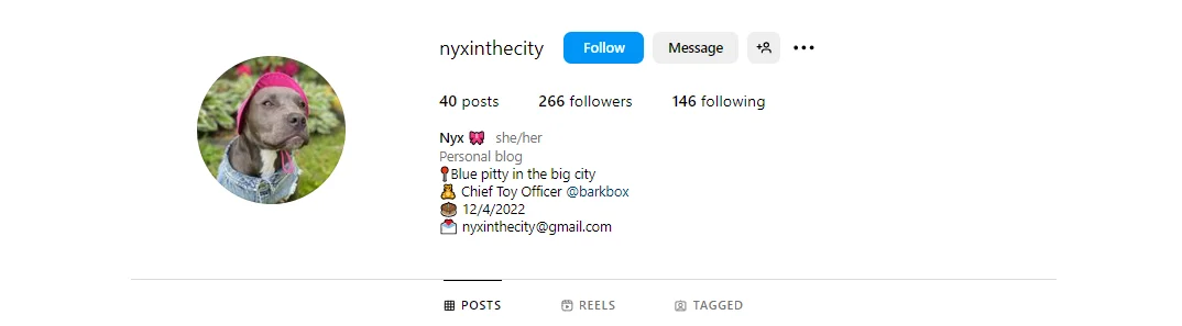 Bark chooses real customer pets to be part of their brand, no matter the follower count