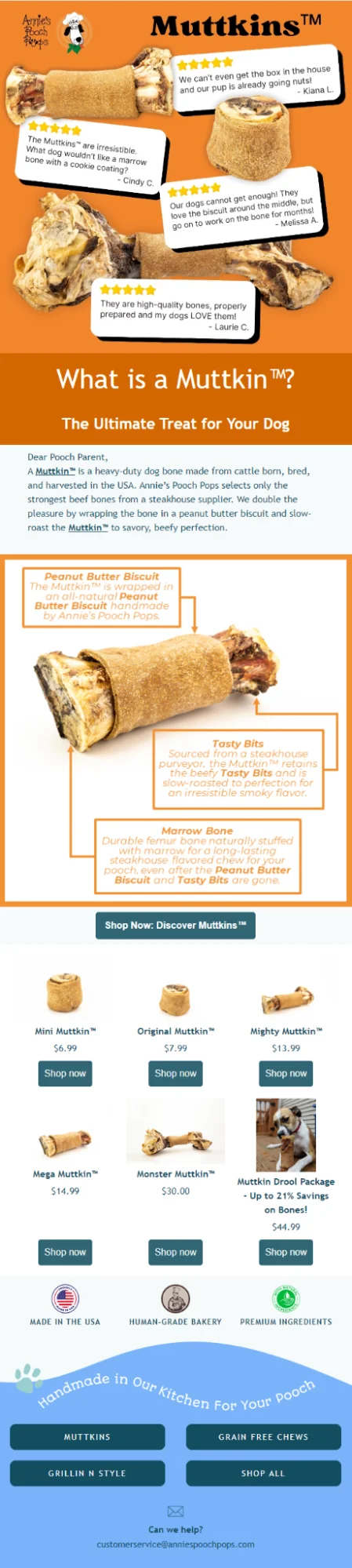 Annie's Pooch Pops's email marketing example 