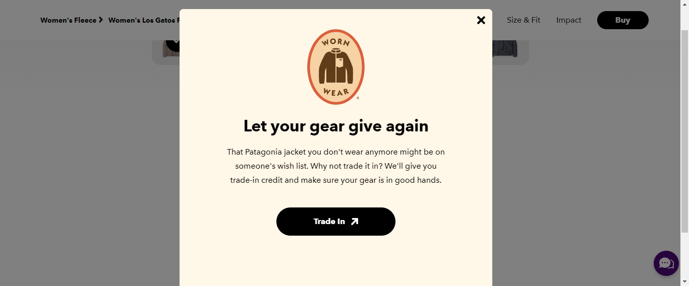 Patagonia’s Overlay Nudge | In this nudge marketing campaign, ensure your overlay doesn’t affect your user experience, you should