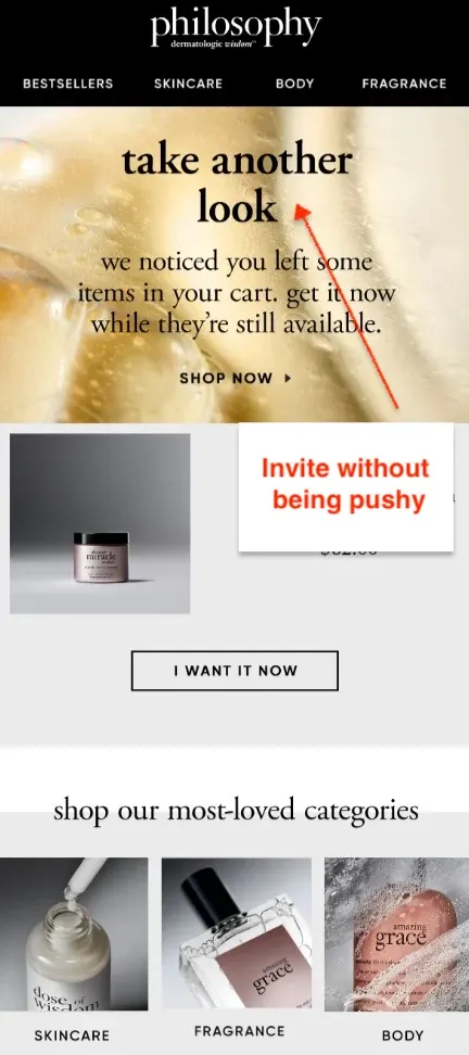 Philosophy beauty email example