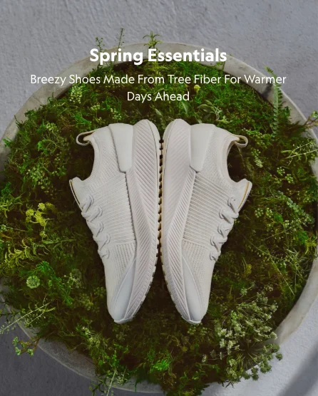 using AI in ecommerce Allbirds creates weather-specific recommendations