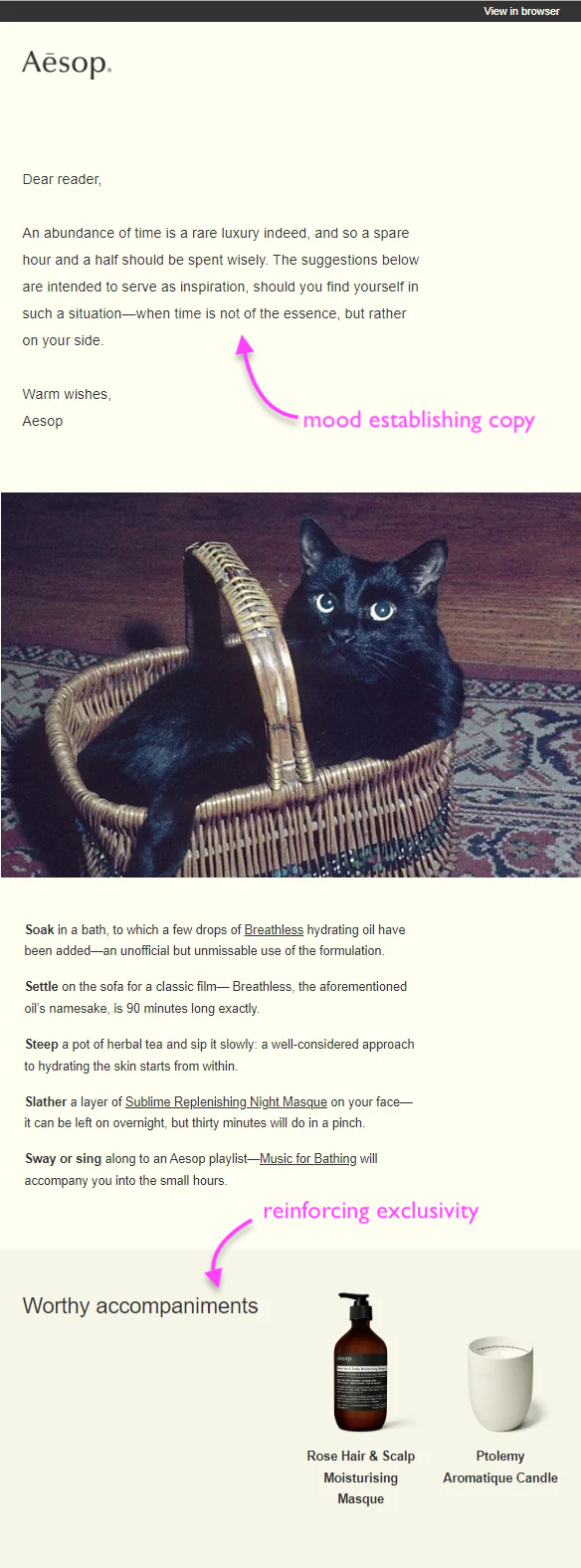 Luxury email marketing: Aesop's self care email