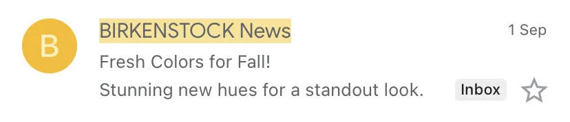 Birkenstock eCommerce email example of subject line