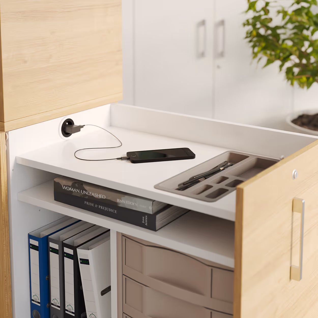 Zoom meuble de rangement en 3D Groupe Pierre Henry