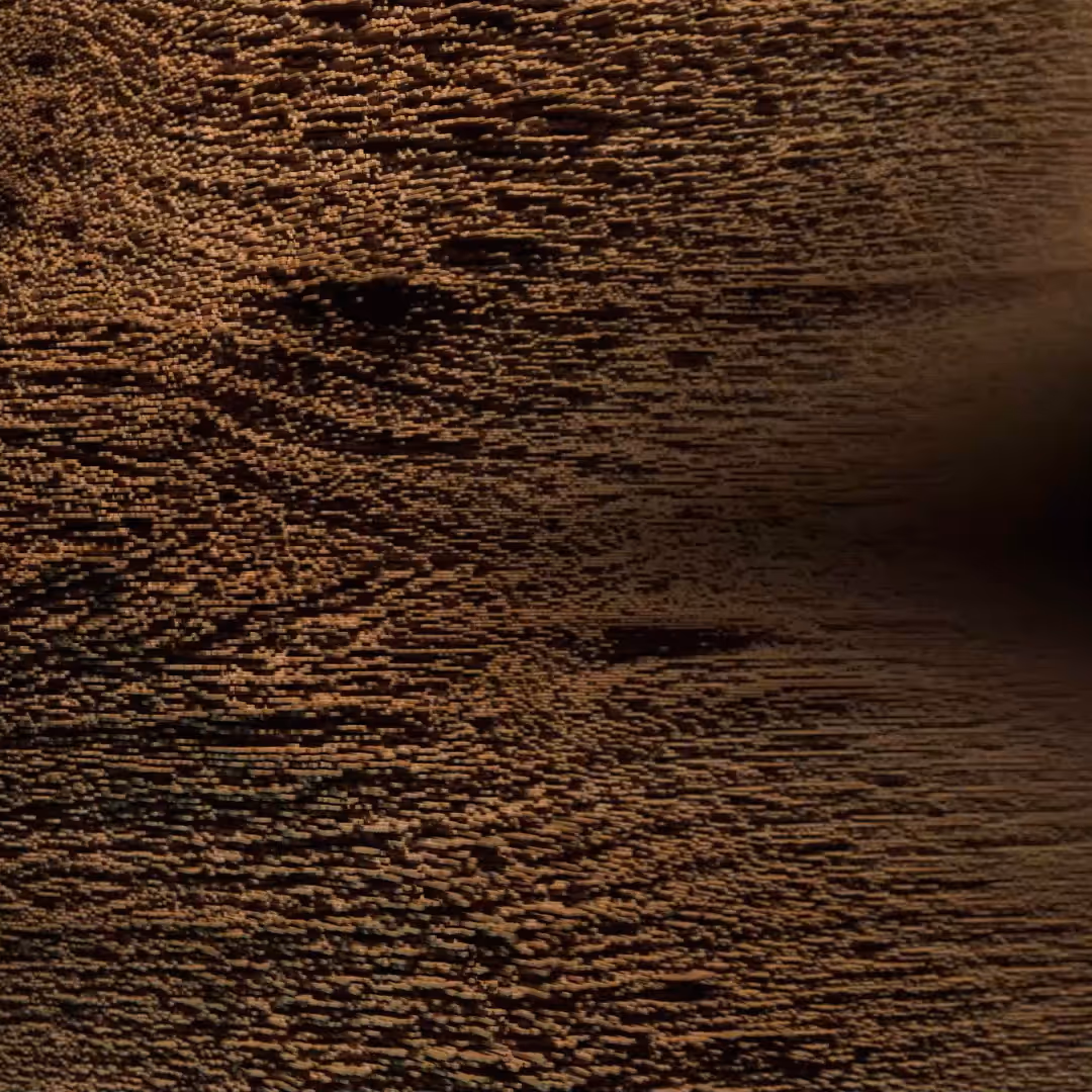Bois VFX pour spot 3D Adeo