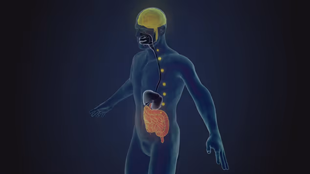 visuel animation 3D pour spaceo