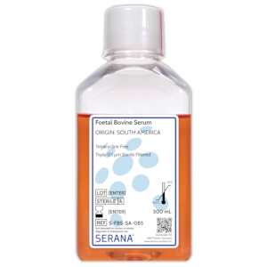 Fetal Bovine Serum - Tetracycline Free