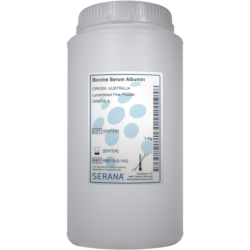 Bovine Serum Albumin