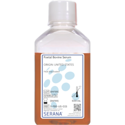 Fetal Bovine Serum - Heat Inactivated