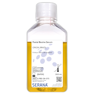 Embryo Stem Cell Qualified 