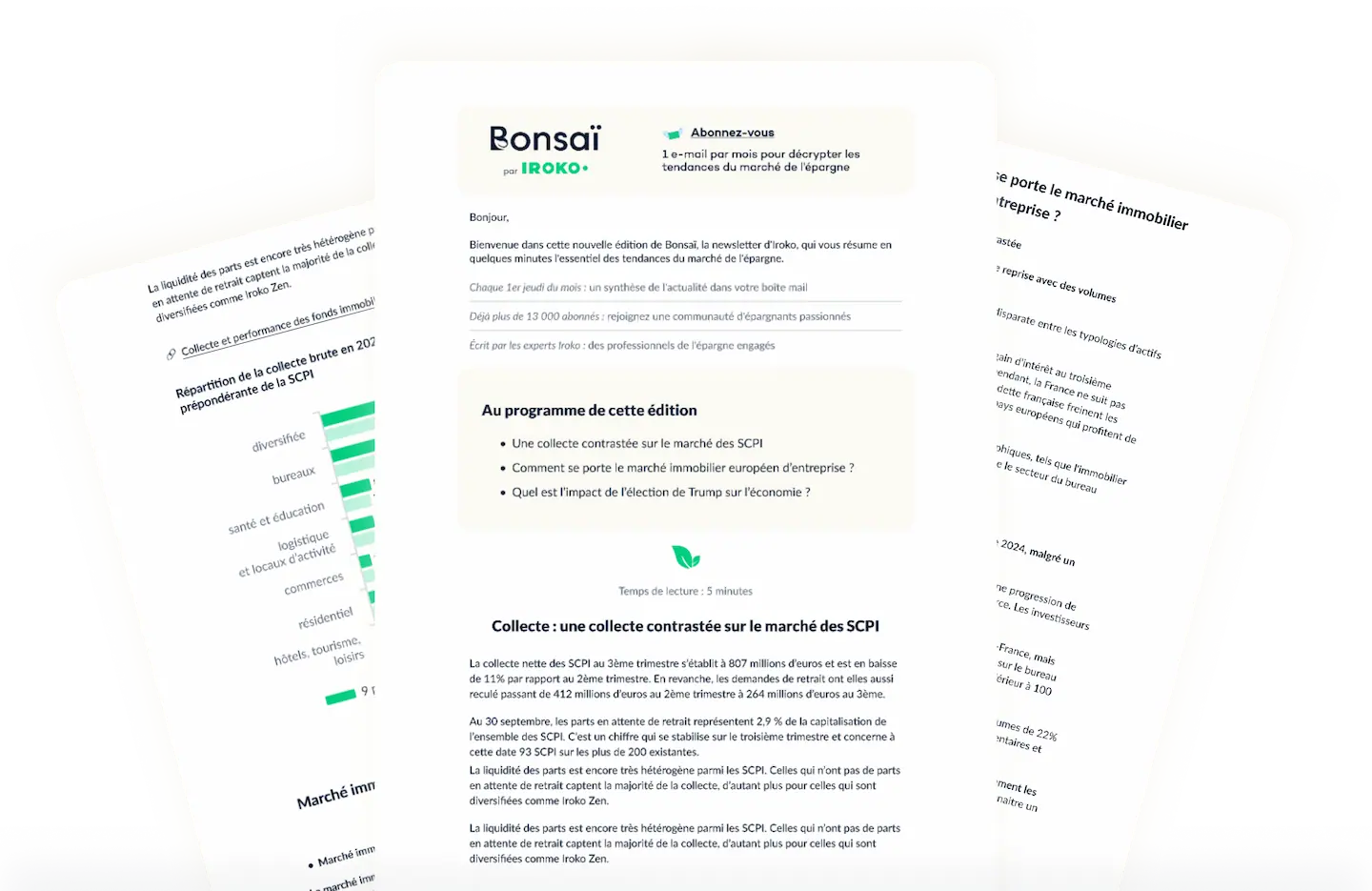 Newsletter Iroko
