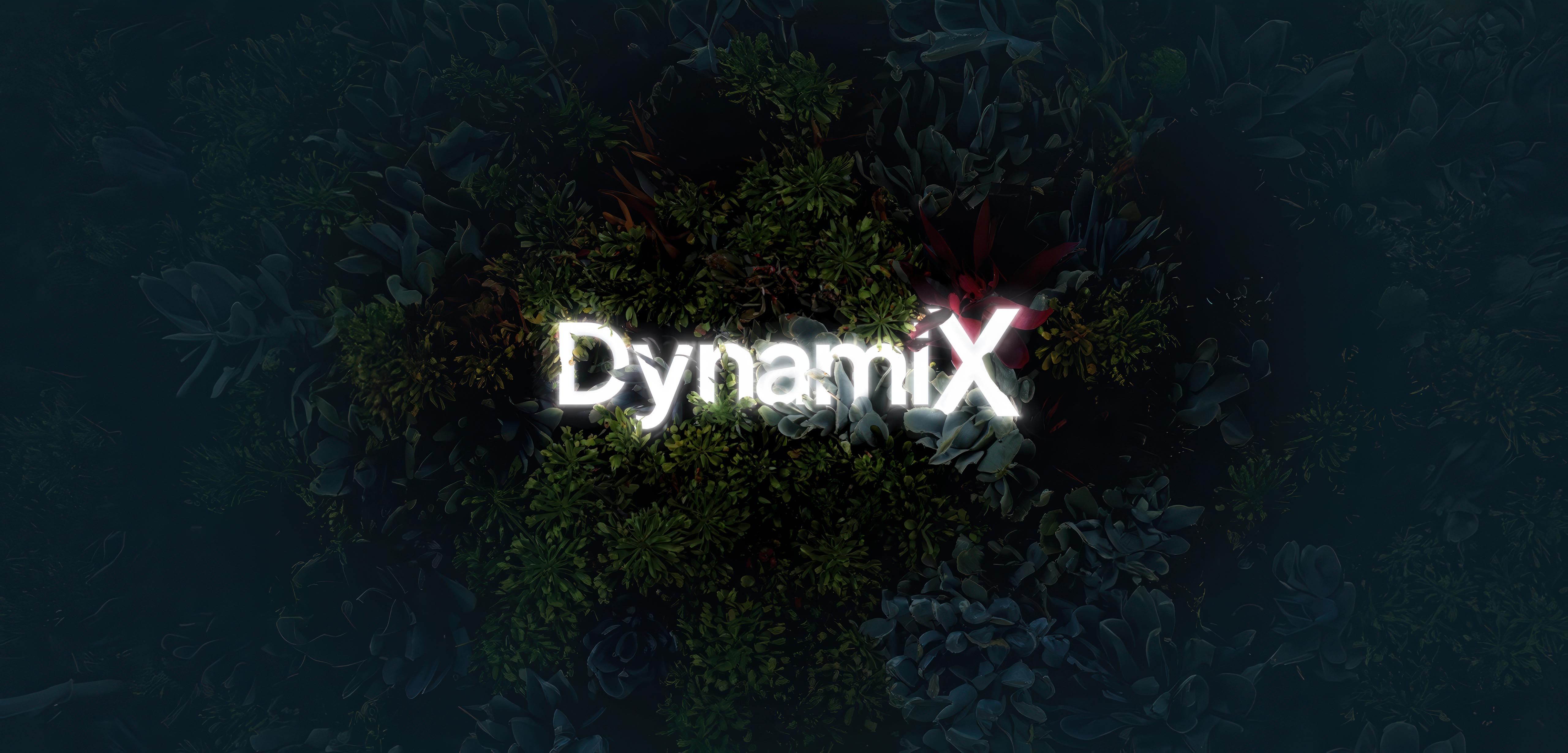 DynamiX
