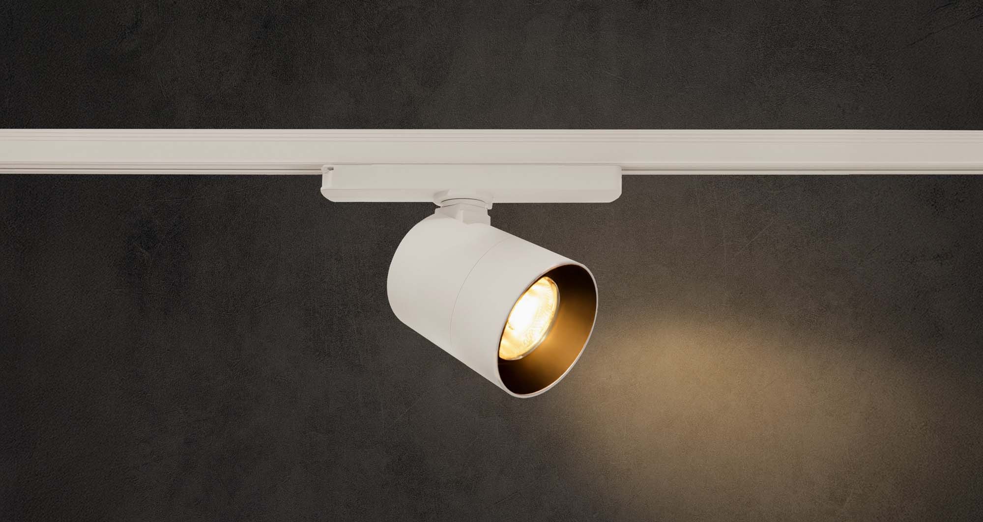 Serena Track Spot Light