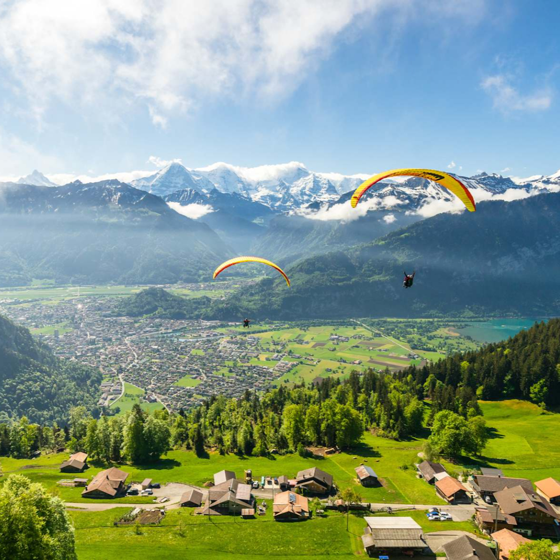How a luxury hotel achieved 112x Metasearch ROI in low season