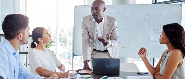 Mentorship and Leadership Opportunities