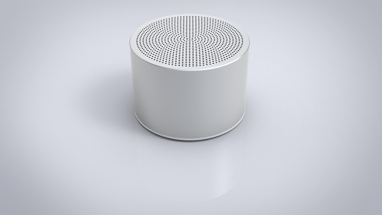 Portable Bluetooth Speaker