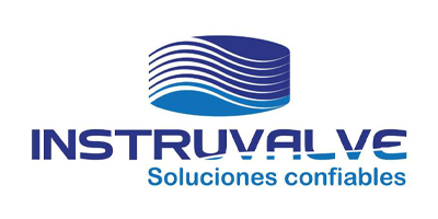 Instruvalve Logo