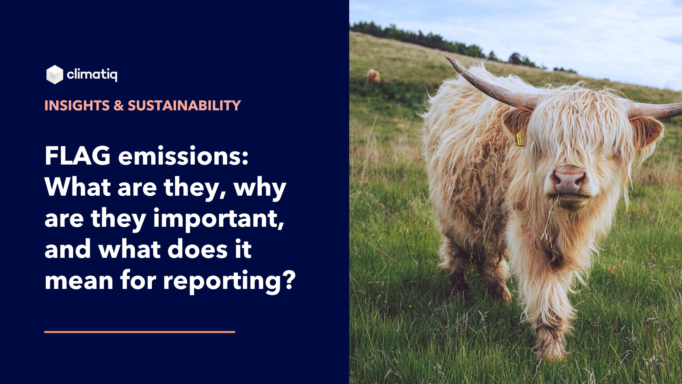 FLAG emissions: What are they, why are they important, and what does it mean for reporting