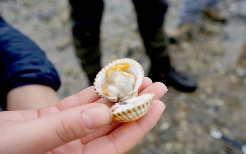 Interview for Cumbria.com