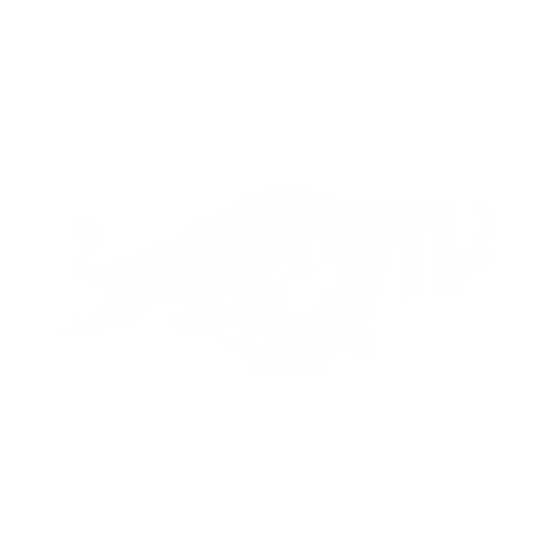 Red Bull TV