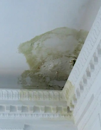 Contrôler l'intérieur de votre maison pour détecter d'éventuelles fuites d'eau