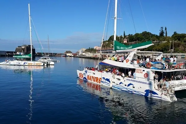 Catamaran Tour in Madeira - team 3