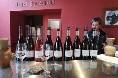 Wine tasting in Loire Valley - Team 3