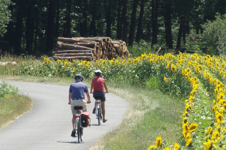Bike Tour in Loire Valley - Team 2
