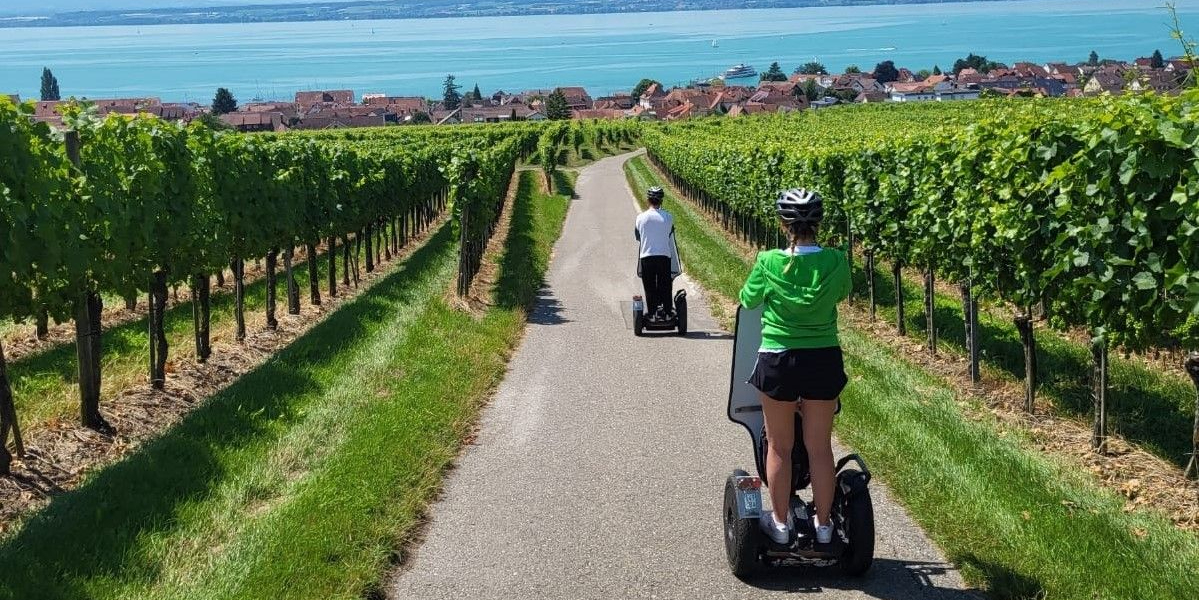 Yoga in Lake Constance