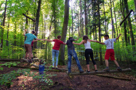 Tree top adventure in Lake Constance - Team 3