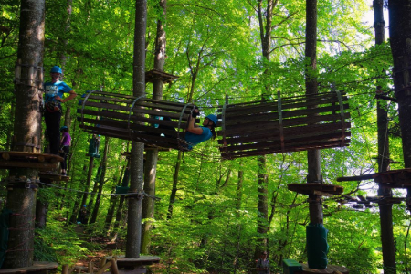 Tree top adventure in Lake Constance - Team 2