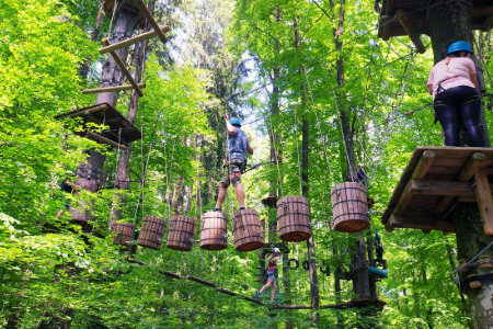 Tree top adventure in Lake Constance - Team 1