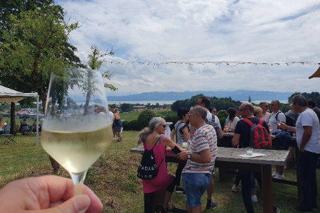 Wine tasting in Lake Constance - Team 1