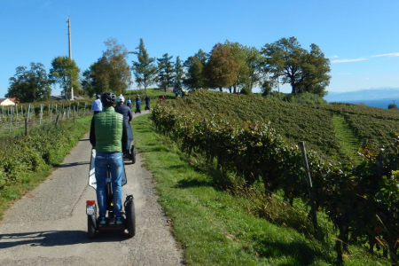 Segway tour in Lake Constance - Team 3