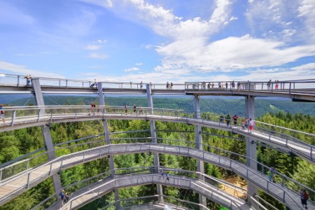 Tree top adventure in Black Forest - Team 3