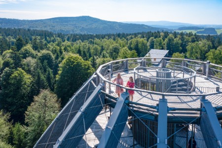 Tree top adventure in Black Forest - Team 2